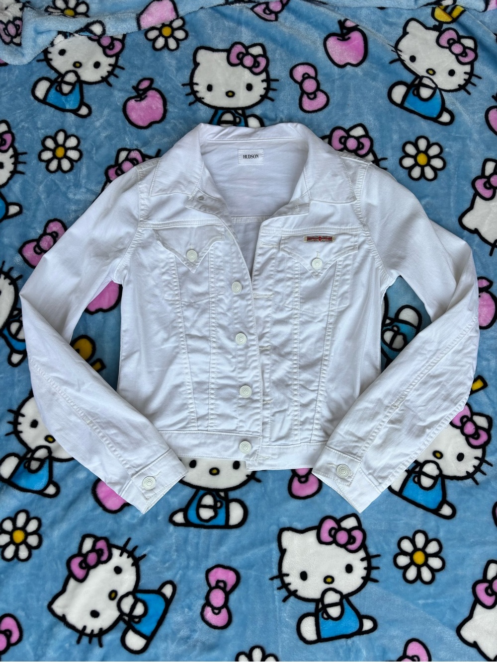 Hudson Jean jacket